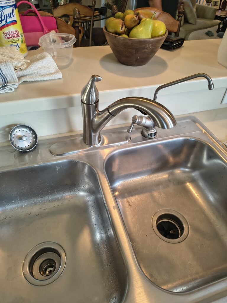A new kitchen faucet over a double sink in Tampa, FL 33625.
