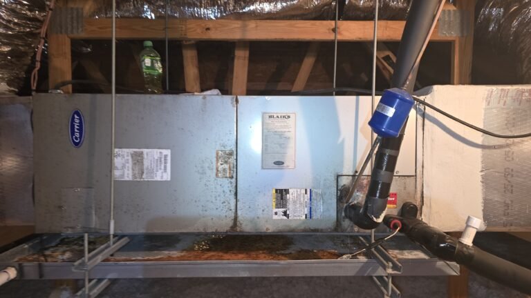 HVAC unit with ductwork in attic, Tampa, FL 33611