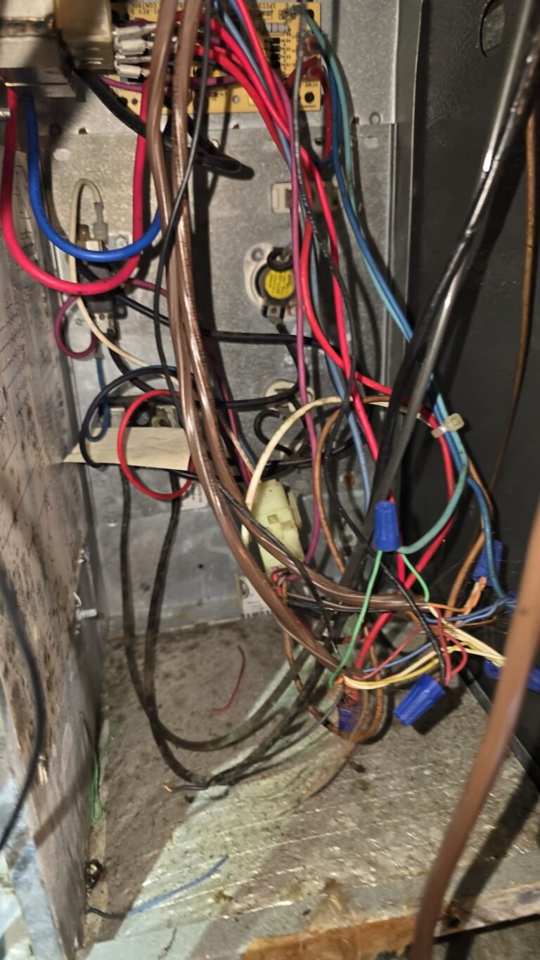 HVAC wiring detail during service in St. Petersburg, FL 33705