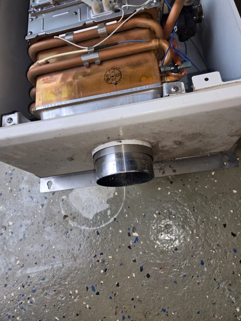 Interior components of water heater in Palm Harbor, FL 34684.