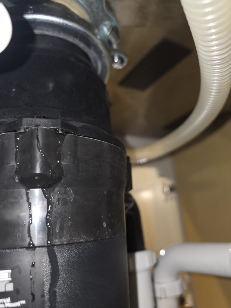 Water leakage on garbage disposal in Odessa, FL 33556