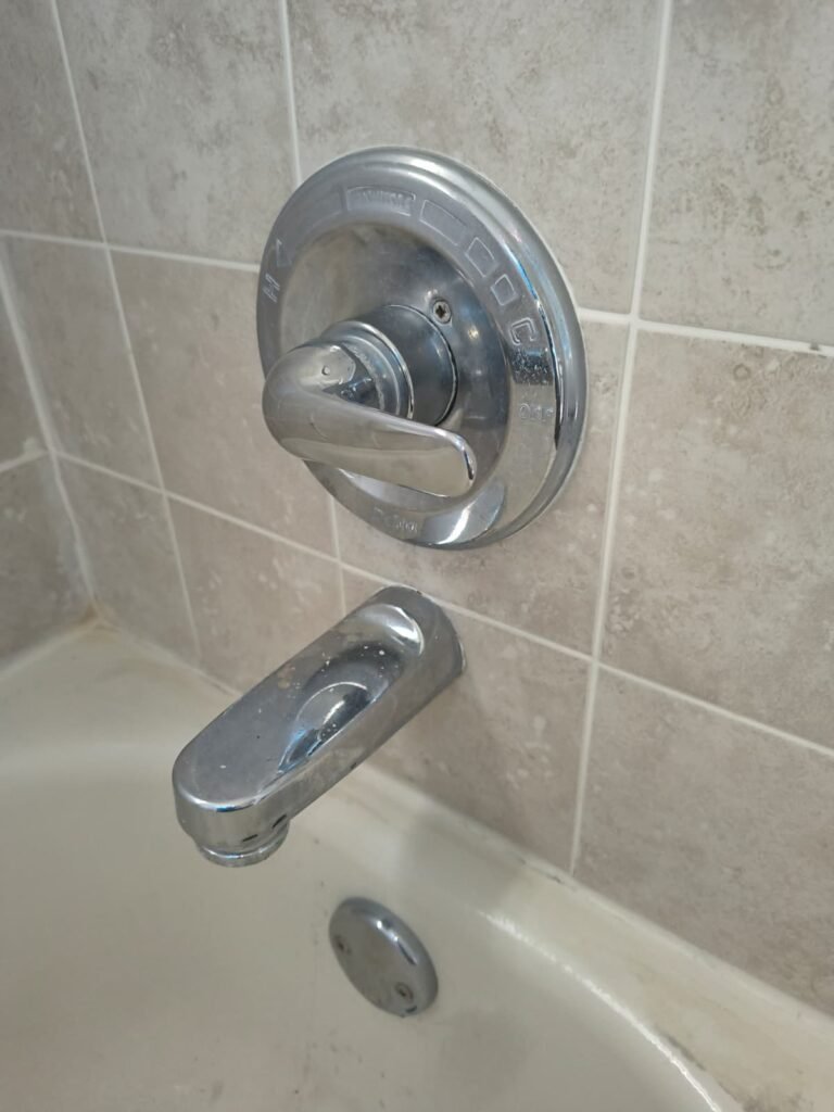 Installed shower cartridge replacement in Ruskin, FL 33570