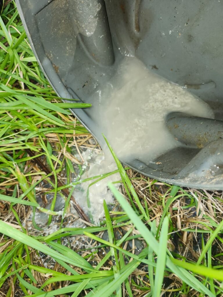 System repair Lv. 1 - Drain line flush - in-progress in Apollo Beach, FL 33572