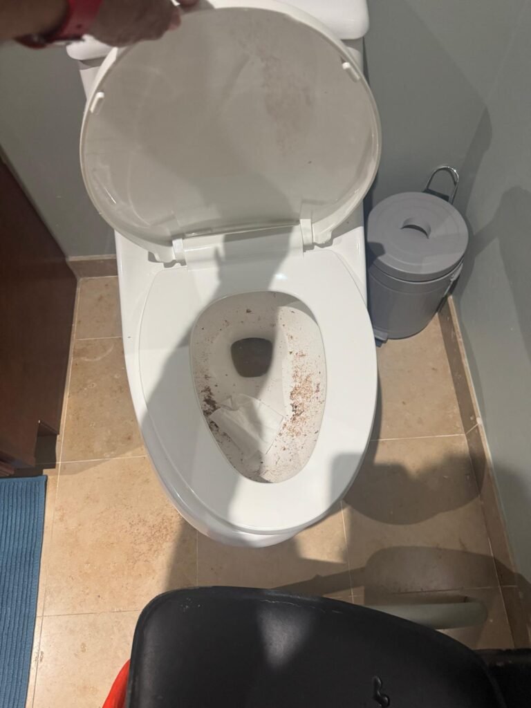 Toilet Before Sewer Drain Unclogging in Tampa, FL 33602 Toilet before sewer drain unclogging in Tampa, FL 33602