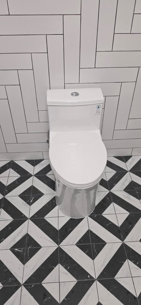 A new one-piece toilet we installed in New Port Richey, FL 34652.