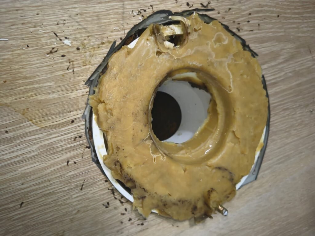 A fresh wax ring on the flange during a toilet reset in Tampa, FL 33617.