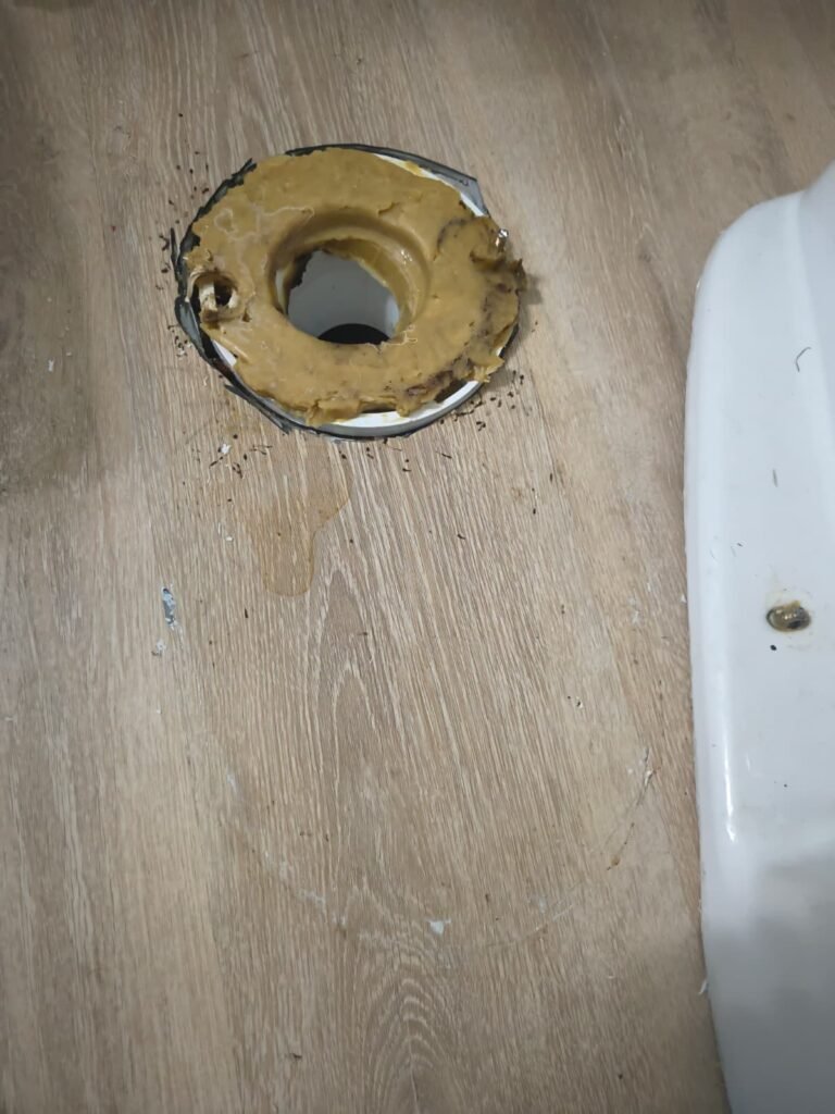 An open toilet flange with the old wax ring during a toilet reset in Tampa, FL 33617.