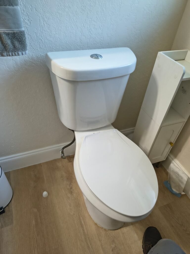 A toilet we reset on a new wax ring in Tampa, FL 33617.