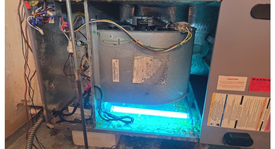 Indoor Air Quality Service in New Port Richey, FL, photo 1