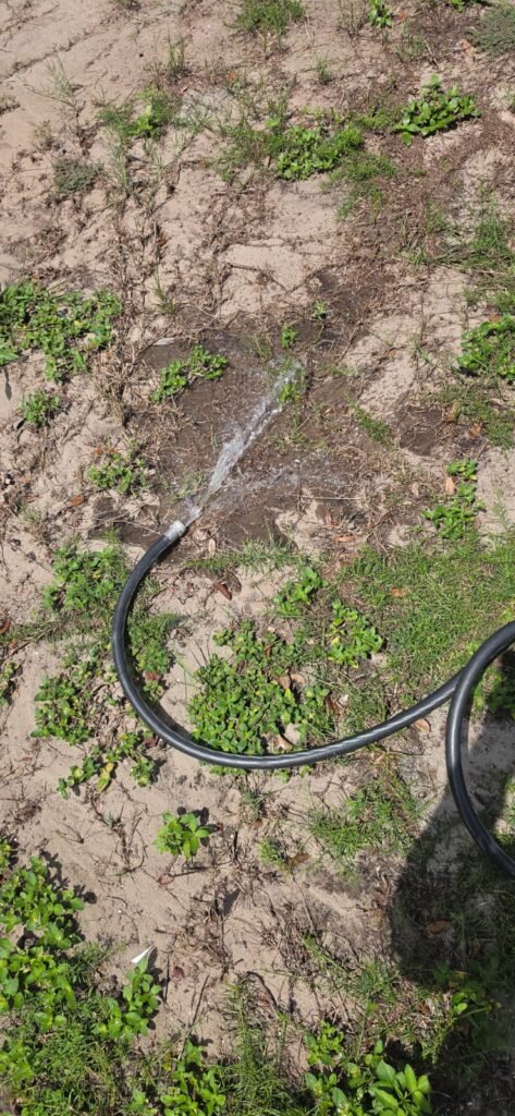 Water draining through a hose during a water heater flush in Valrico, FL 33594.