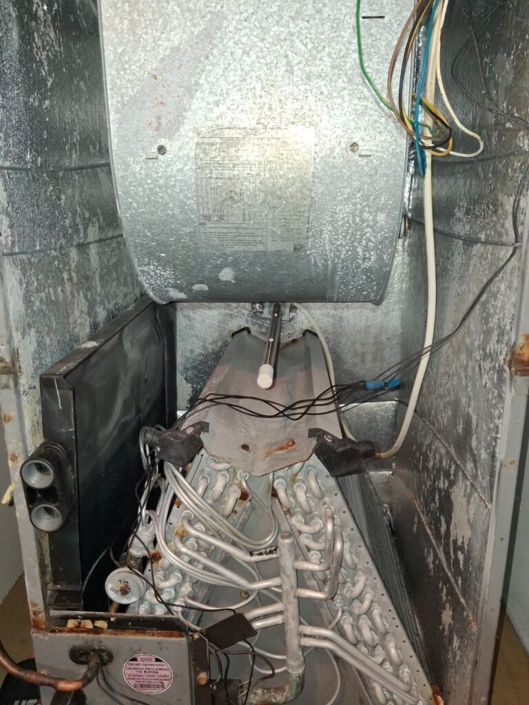 AC unit interior components in Trinity, FL 34655