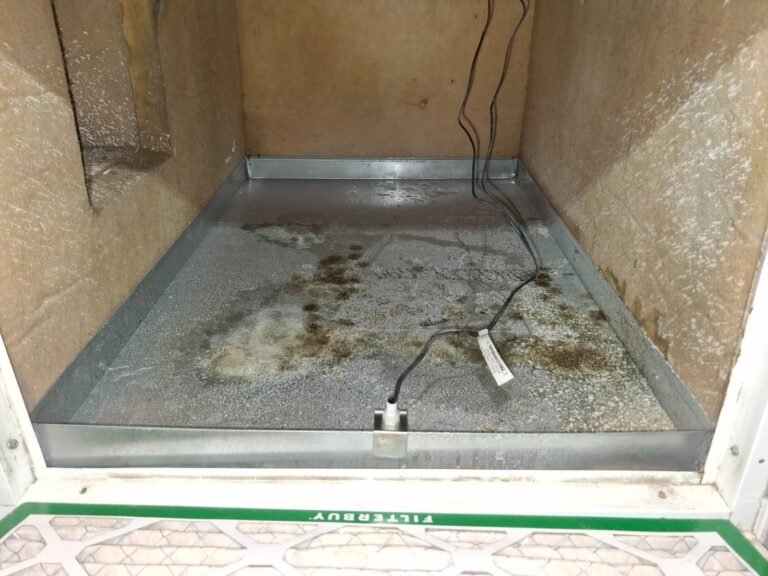 AC unit housing in Trinity, FL 34655