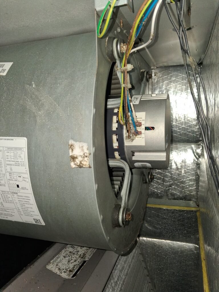 HVAC blower motor in Zephyrhills, FL 33541