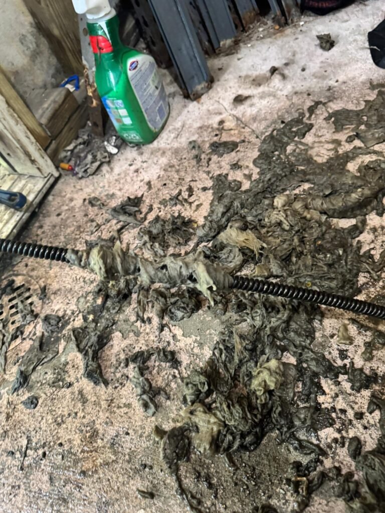 Debris from Sewer Drain in Saint Petersburg, FL 33710 Debris from sewer drain unclogging in Saint Petersburg, FL 33710