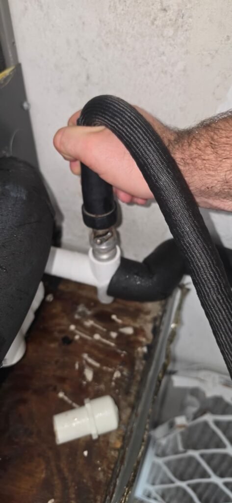 Technician holding hose during drain line flush in St. Petersburg, FL 33703