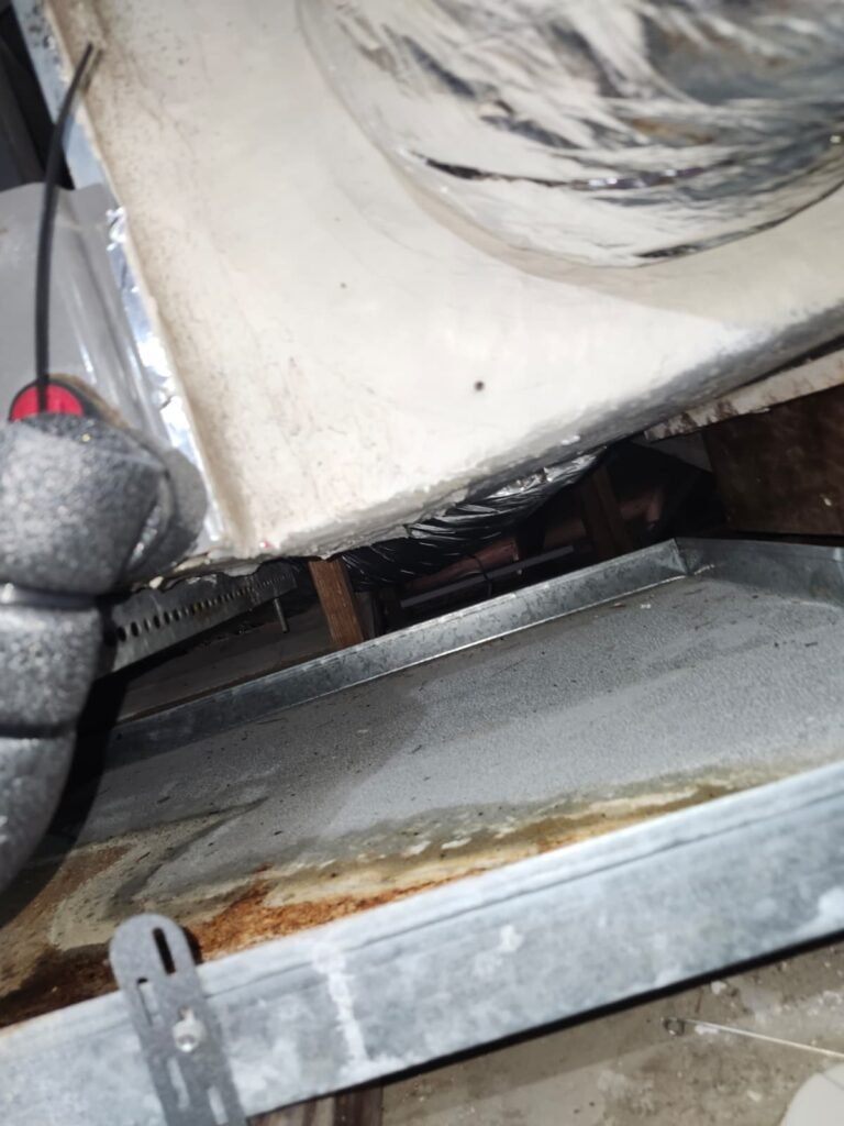 Drain pan detail after drain line flush in Seminole, FL 33776