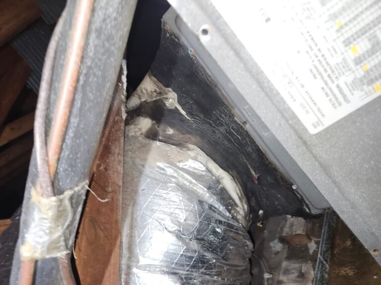 Ductwork detail after drain line flush in Seminole, FL 33776