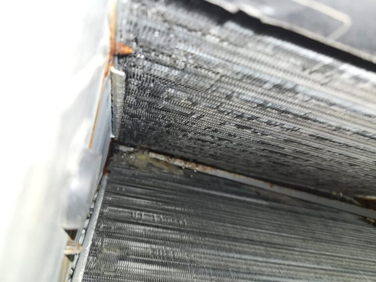 HVAC coil detail after drain line flush in Seminole, FL 33776