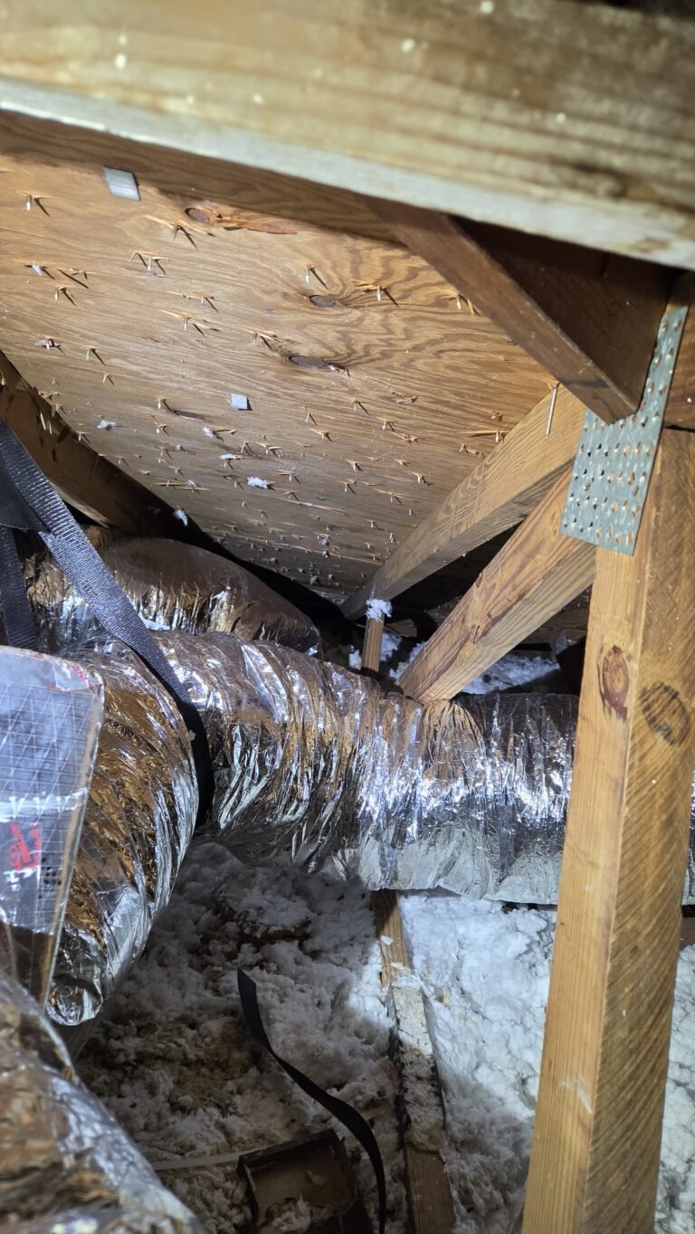 Ducts with insulation in attic, Clearwater, FL 33756
