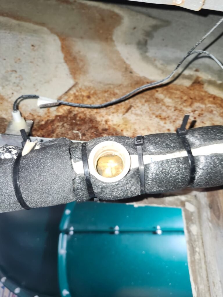 Pipe detail after drain line flush in Seminole, FL 33776