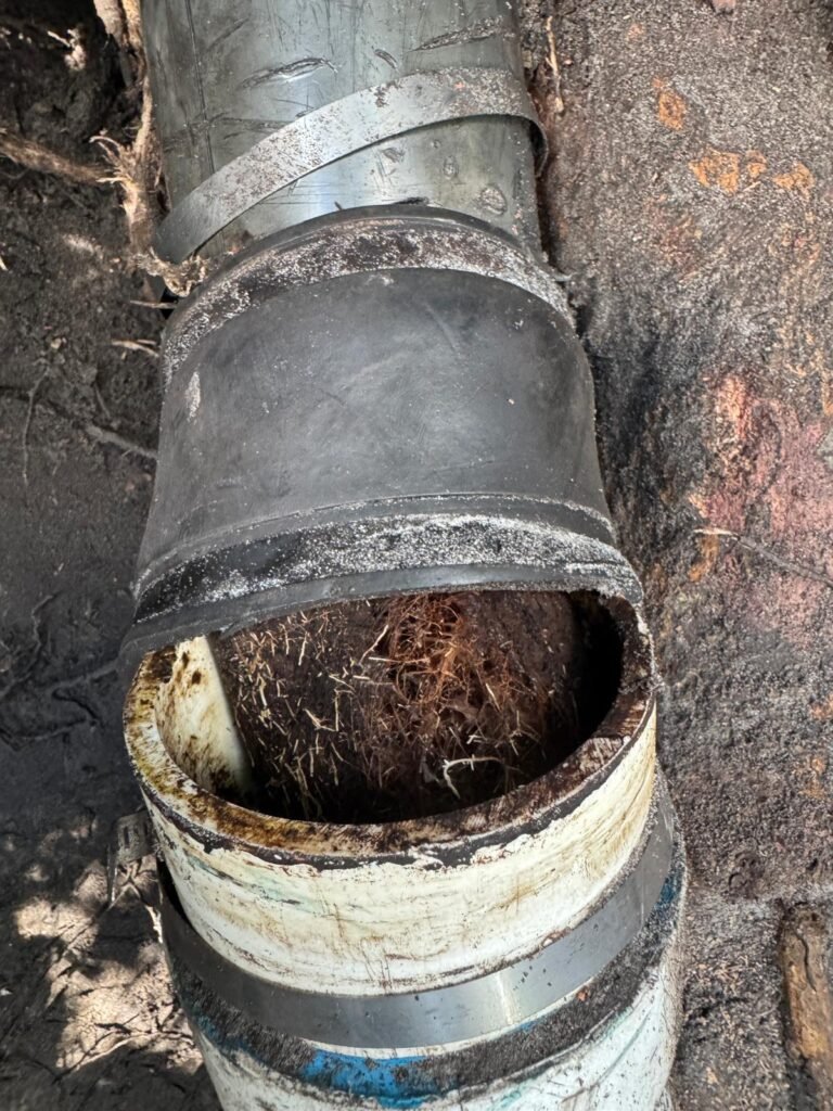 Tree roots packed inside a cut section of drain pipe in Clearwater, FL 33764.