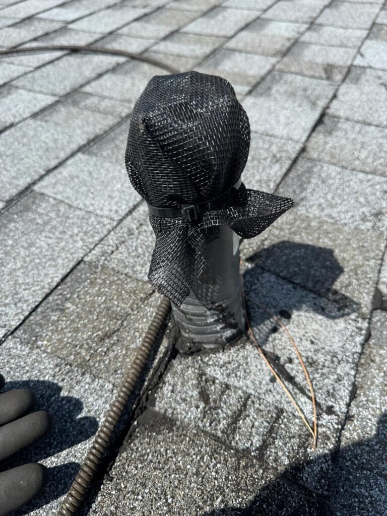 Running a drain cable down a roof plumbing vent in Tampa, FL 33615.