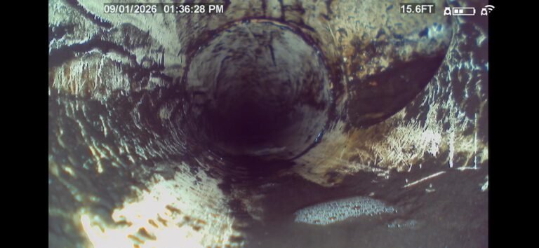 Sewer Drain with Debris in New Port Richey, FL 34652 Sewer drain with debris in New Port Richey, FL 34652