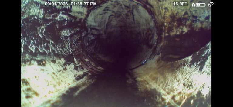 Sewer Drain Interior in New Port Richey, FL 34652 Sewer drain interior with buildup in New Port Richey, FL 34652