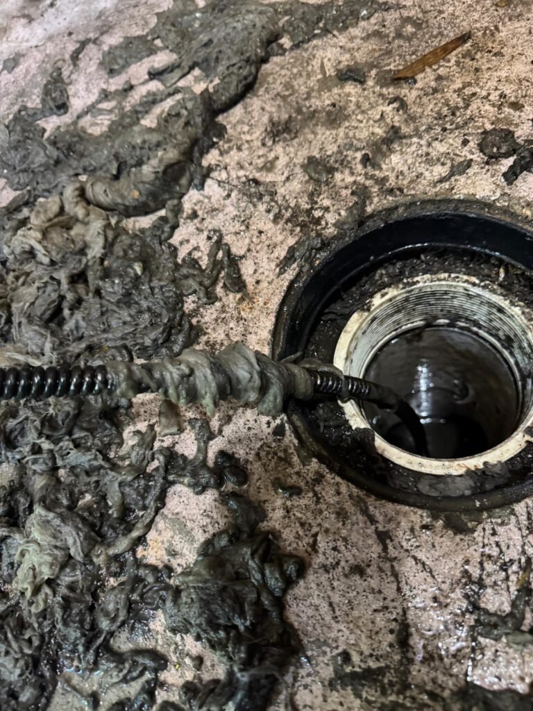 Sewer Snake with Debris in Saint Petersburg, FL 33710 Sewer snake with debris during unclogging in Saint Petersburg, FL 33710
