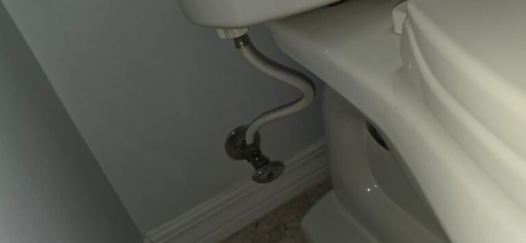Toilet water supply line in Zephyrhills, FL 33542