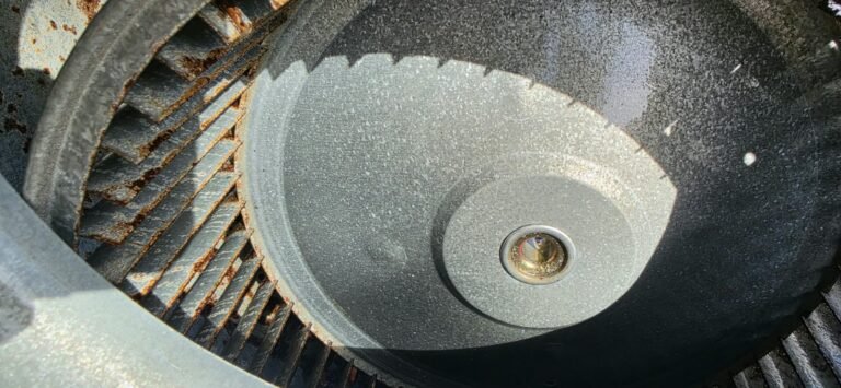 After cleaning: another view of clean blower wheel, Lutz, FL 33558