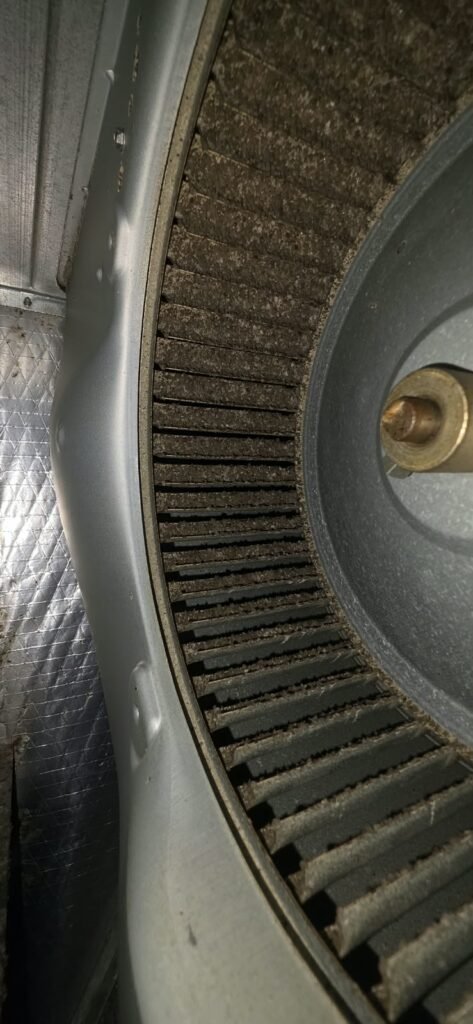 Dirty blower wheel in HVAC system during cleaning in Tampa, FL 33615