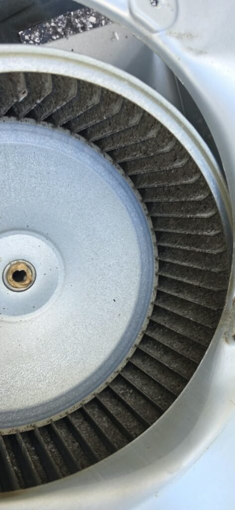 Dirty blower wheel from another angle in Tampa, FL 33615