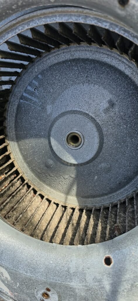 After cleaning: blower wheel viewed from above, Lutz, FL 33558