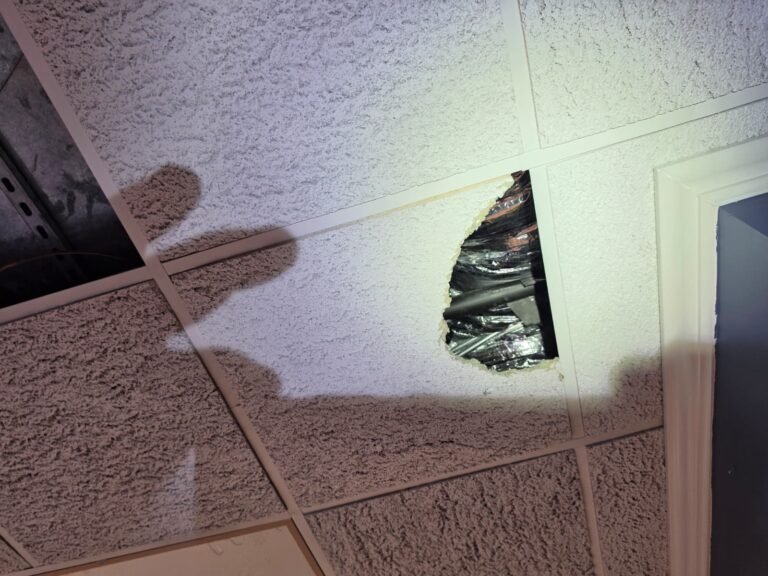 Ceiling hole with ductwork in New Port Richey, FL 34652