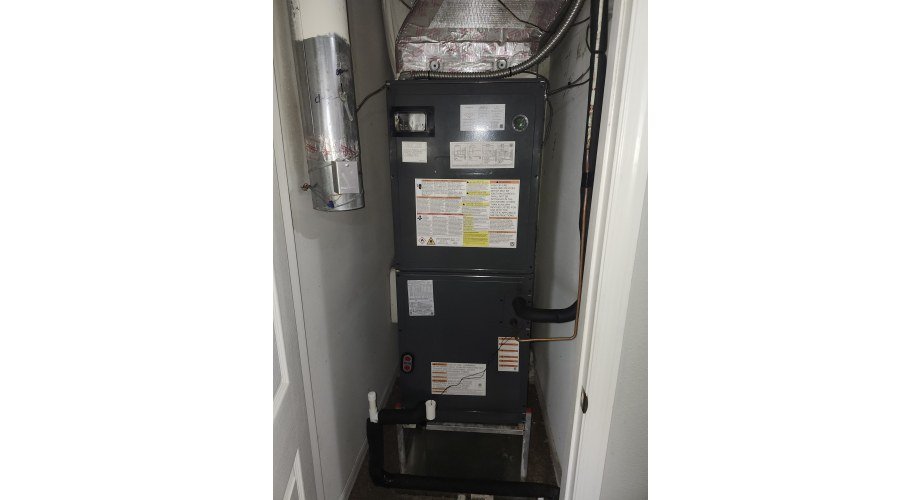 Service visit in Tampa Bay, FL, photo 1