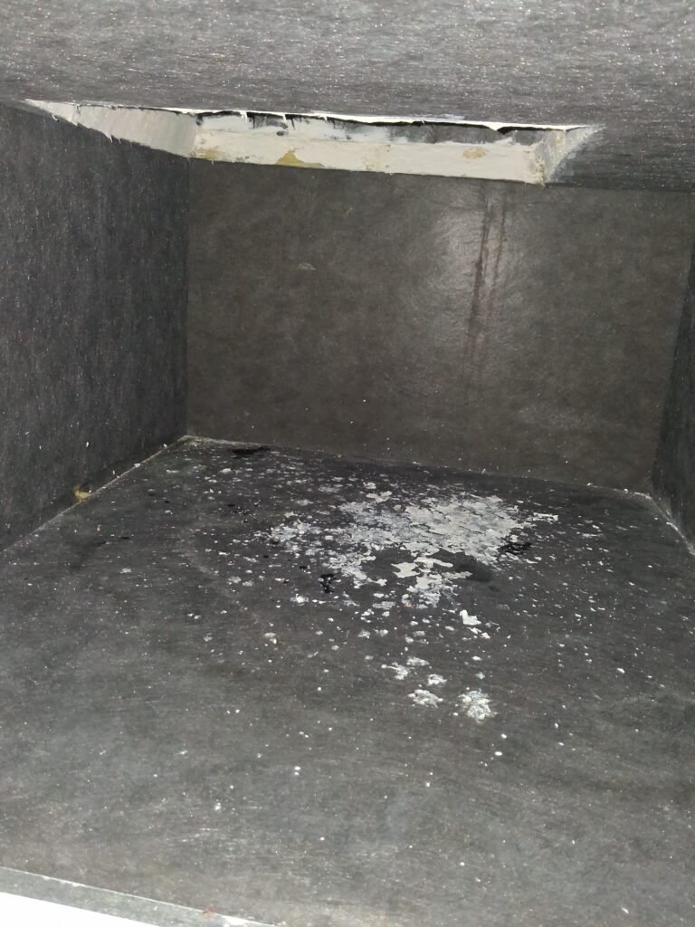 Dirty HVAC duct area interior in Tampa, FL 33619
