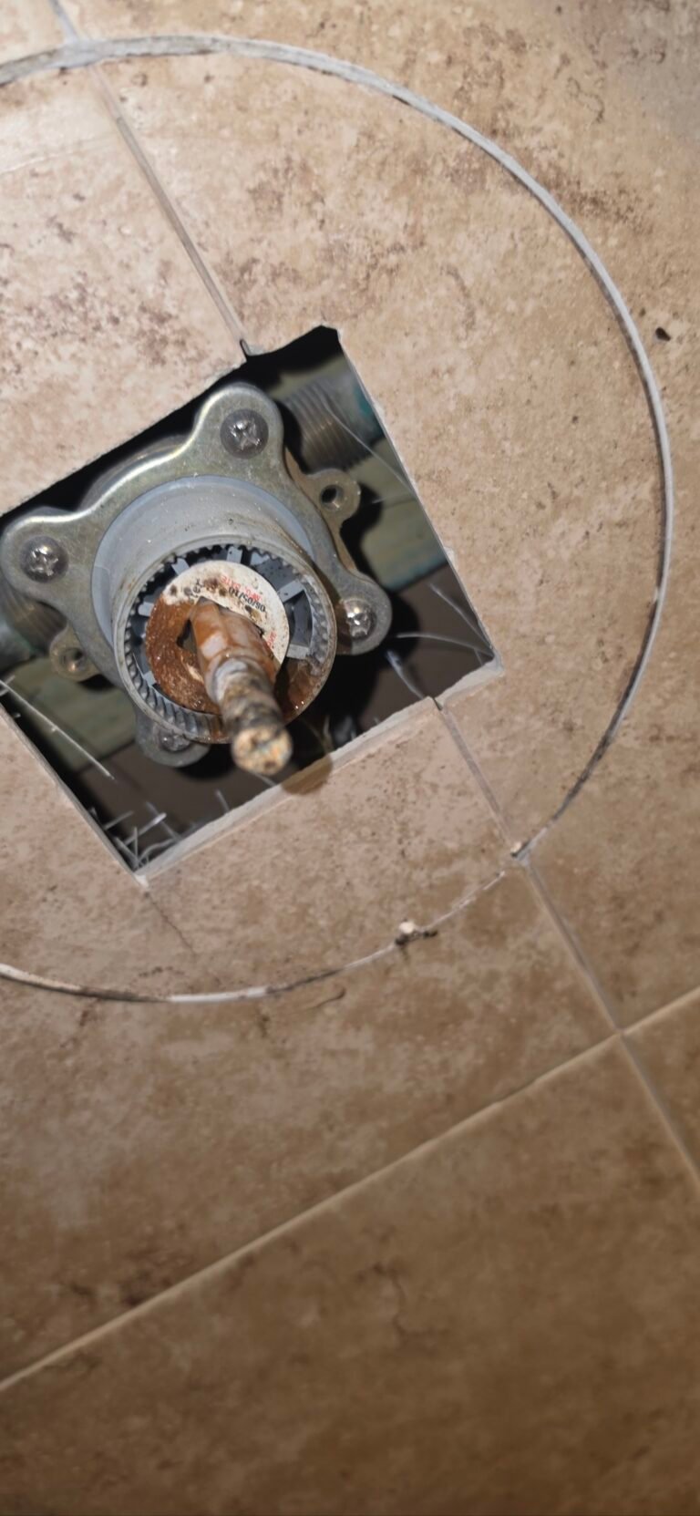 Exposed shower valve during replacement in Tarpon Springs, FL 34689