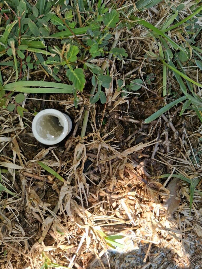 Exterior drain pipe in grassy area, Tampa, FL 33619