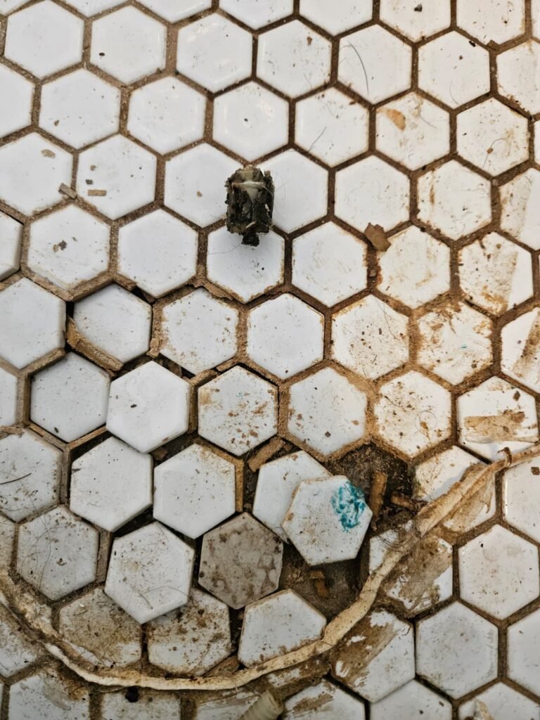 Toilet flange with dirt close-up in Tampa, FL 33611