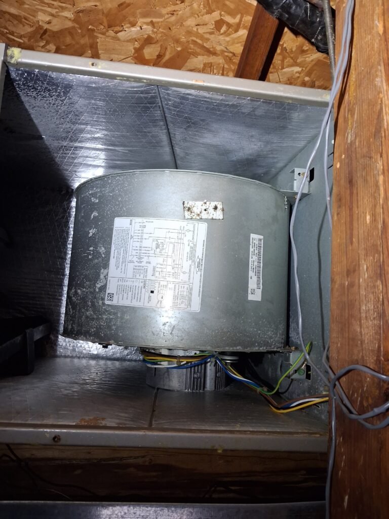 HVAC Component Detail in Tampa, FL 33617 Close-up of HVAC component during service in Tampa, FL 33617