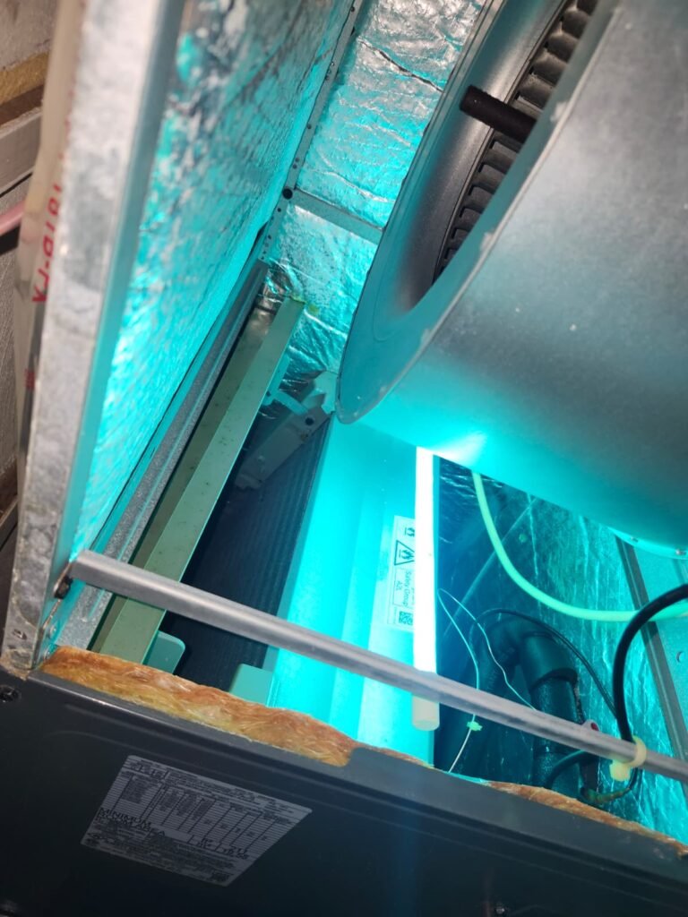 A UV light glowing in the blower section of an air handler in Tampa, FL 33610.