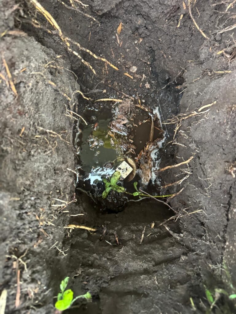 Close-up of muddy hole for sewer inspection in Tampa, FL 33624