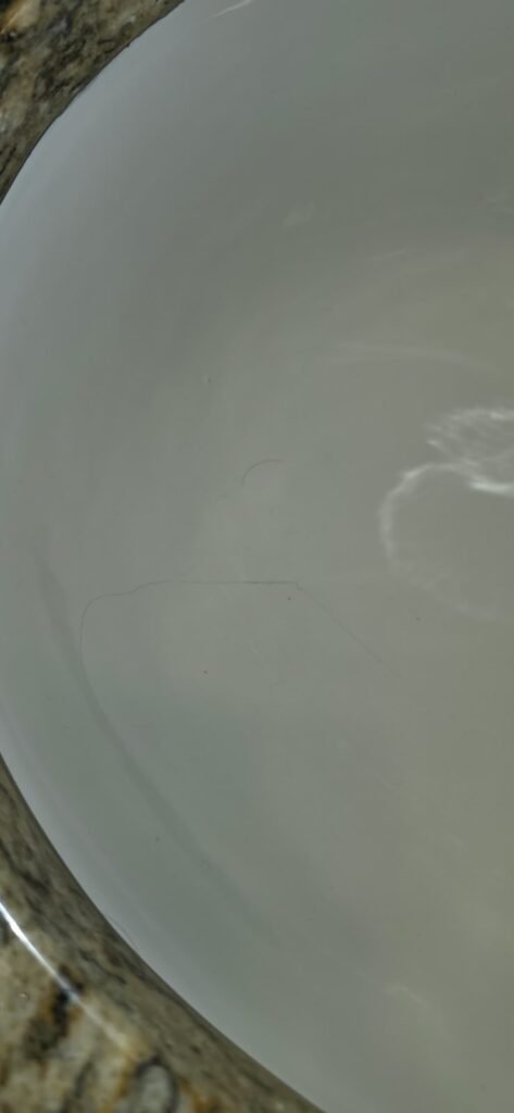 Close-up of bathroom sink basin in Tarpon Springs, FL 34689