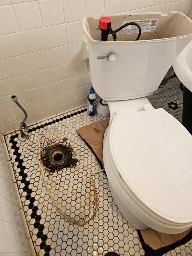 In-progress toilet reset showing wax ring in Tampa, FL 33611