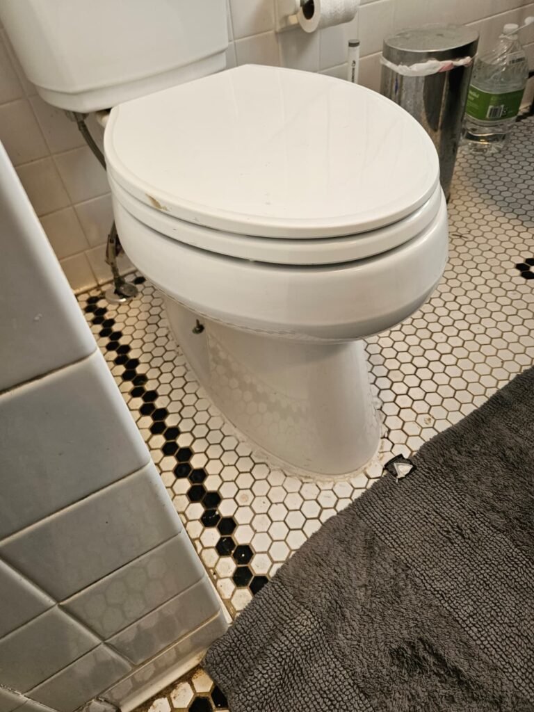 Side view of toilet reset service in Tampa, FL 33611