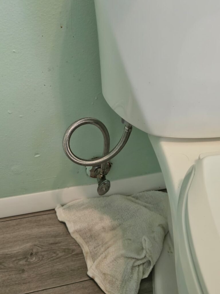 Water supply line to toilet in Tampa, FL 33605