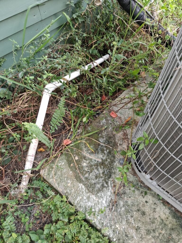 Overgrown vegetation near HVAC unit, Tampa, FL 33603