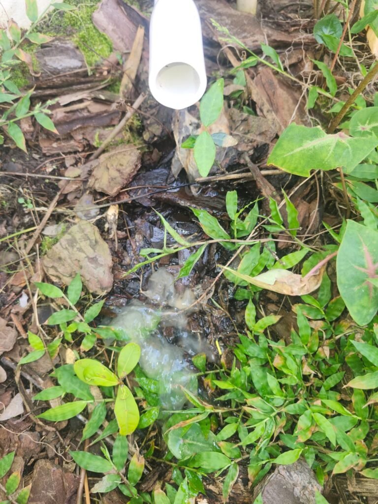 Water draining from pipe into ground in Clearwater, FL 33762