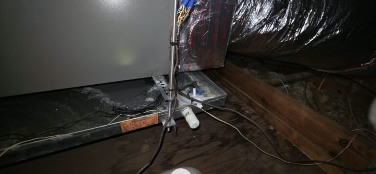 Installed water heater in utility area, Clearwater, FL 33764